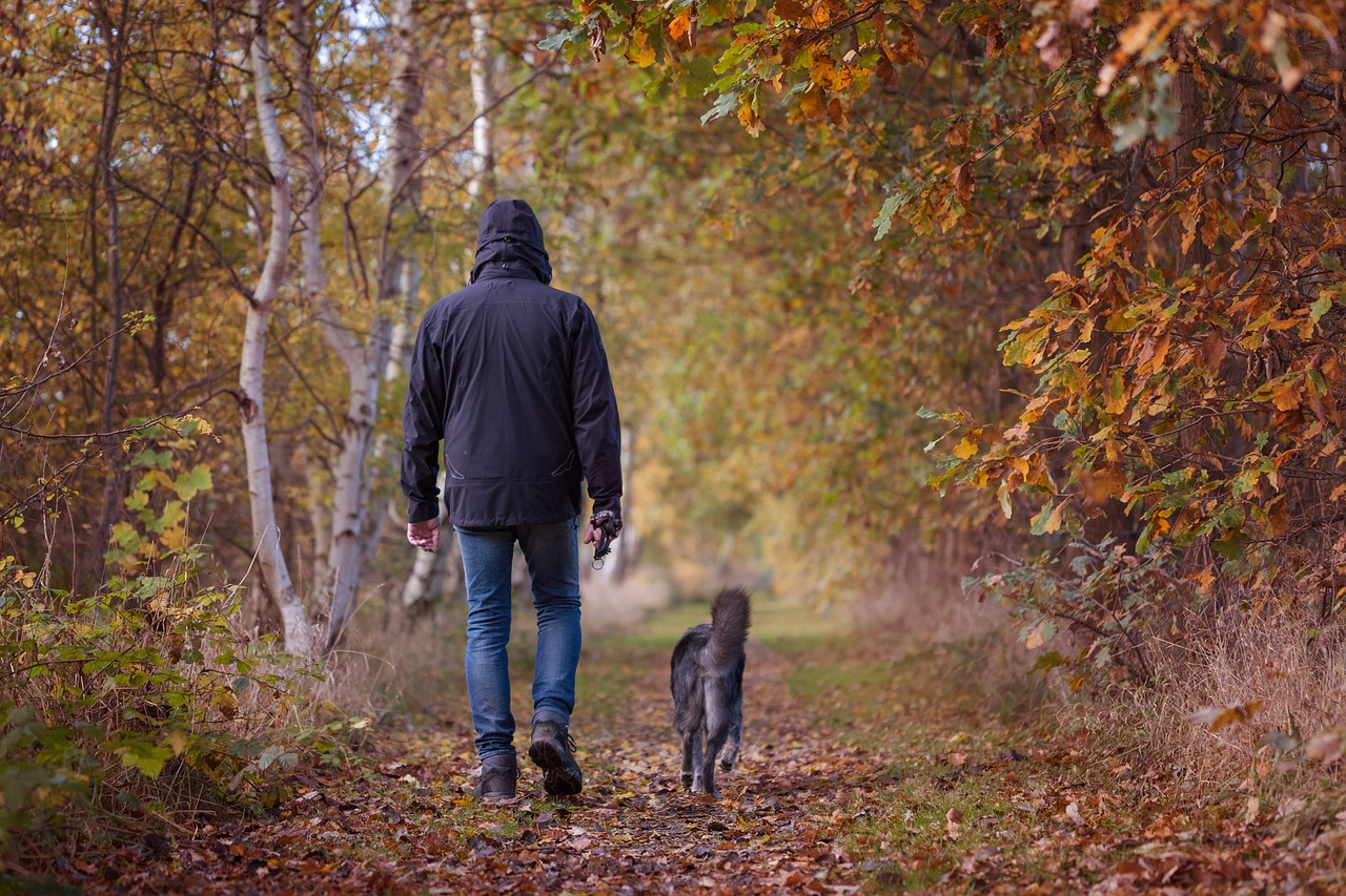 pasear con el perro