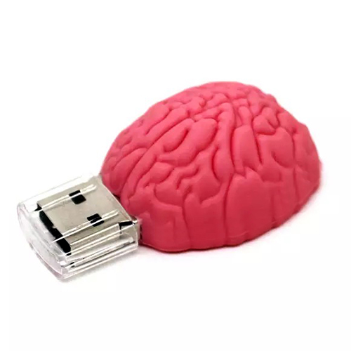 regalo Pendrive Cerebro 32Gb