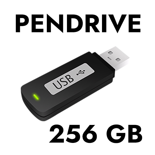 regalo USB 256GB